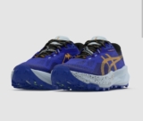 Asics Trabuco 14